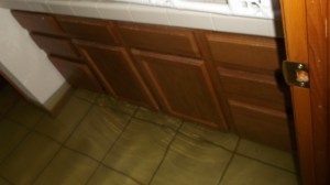 Water Damage: Standing Water in Basement Bathroom