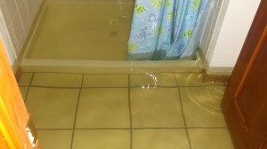 Water Damage: Standing Water in Basement Bathroom