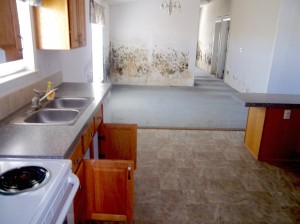Mold Damage: Kitchen and Dining Room