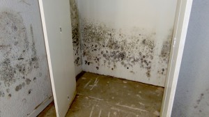 Mold Damage: Bedroom Closet